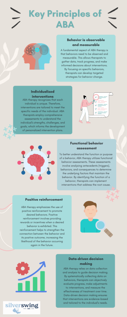 aba principles