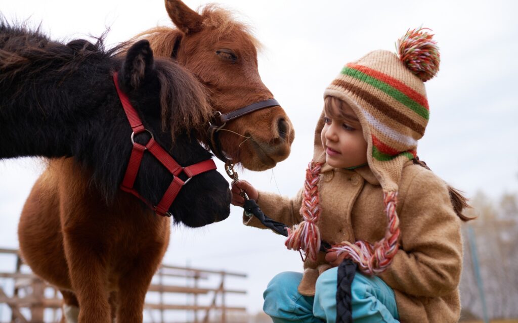 animal-assisted therapy