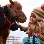 animal-assisted therapy