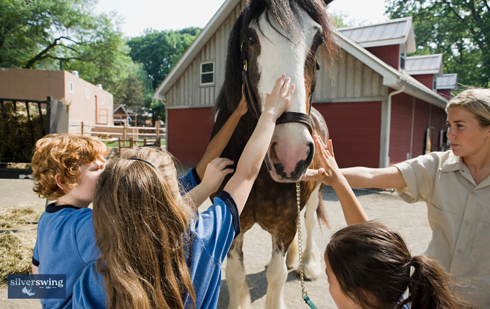 animal assisted therapy