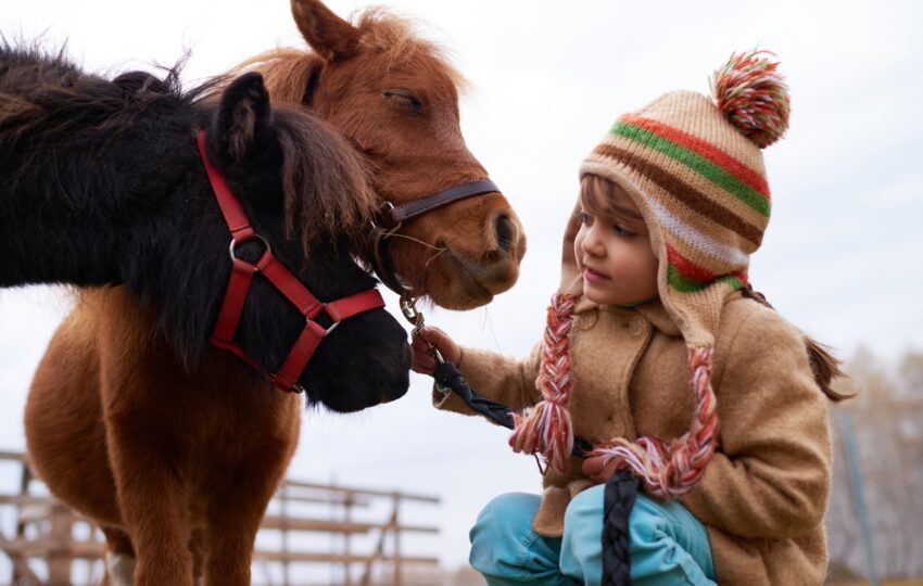 animal-assisted therapy