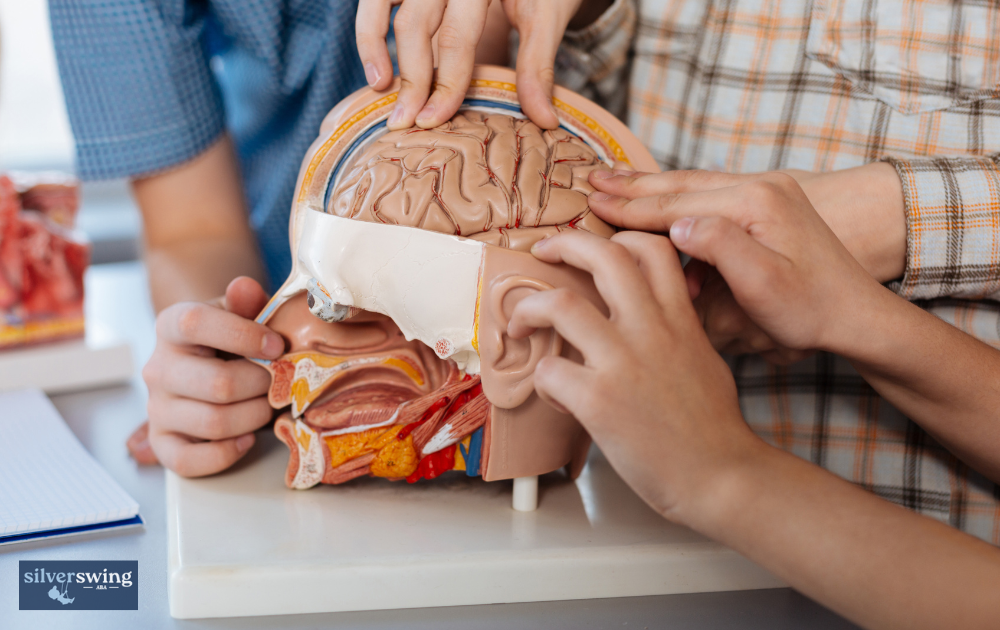 what part of the brain does autism affect