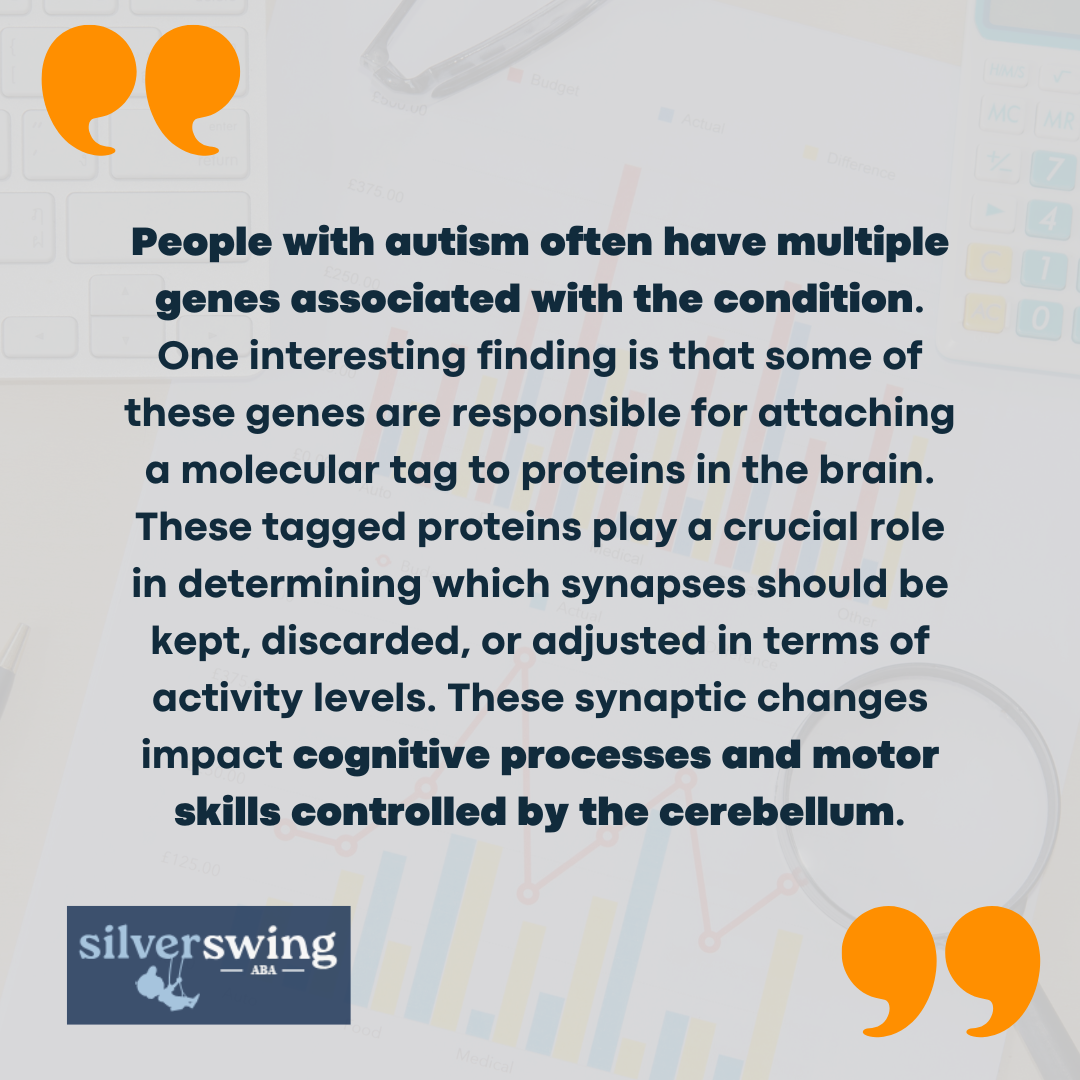 what part of the brain does autism affect