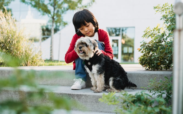 does autism affect communication