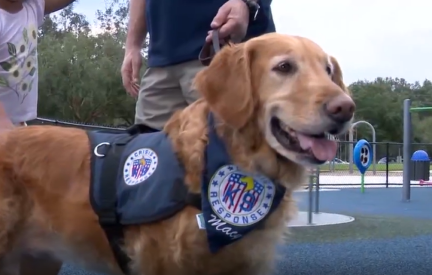 Therapy Dog Macy Helps Georgia Community Heal
